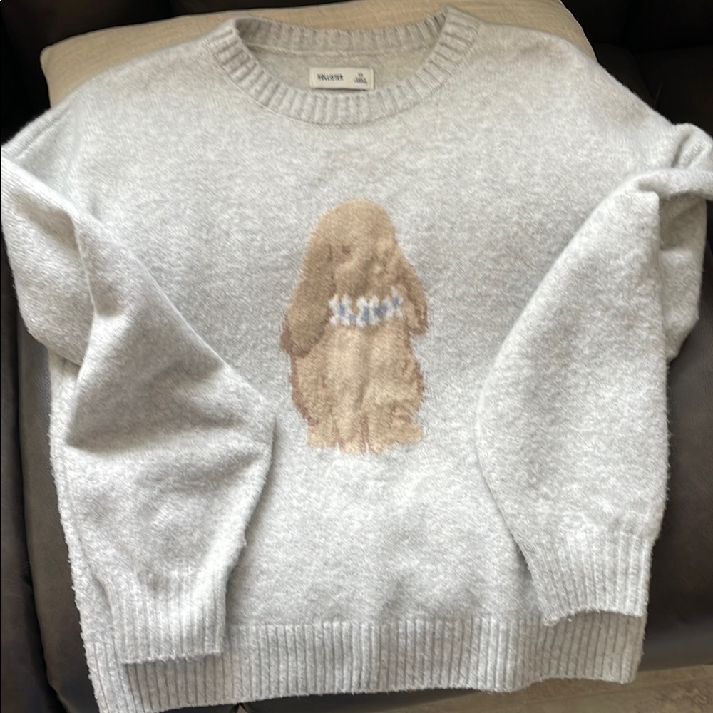 Hollister Gray Sweater with Bunny Design